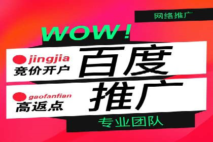 百度广告推广实战案例解析